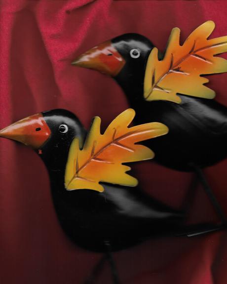 BlackBirds.jpg