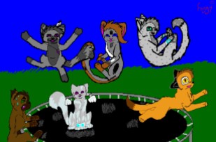 Trampoline_cats_by_Foggy_cat